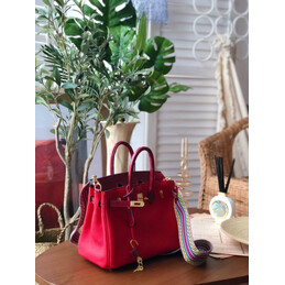 Replica Hermes Fuchsia Birkin 25 Gold Hardware Bag
