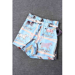 Replica Hermes Blue Scarf Print Pants Set
