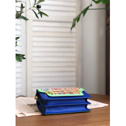 Replica Hermes Navy Blue Green Multicolor Print Roulis 23 Bag