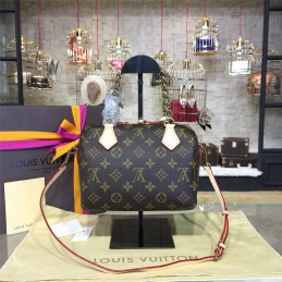 Replica Louis Vuitton Brown Monogram Multicolor Handle Speedy 20