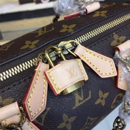 Replica Louis Vuitton Brown Monogram Multicolor Handle Speedy 20