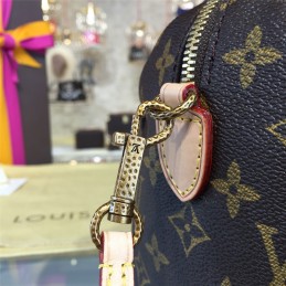 Replica Louis Vuitton Brown Monogram Multicolor Handle Speedy 20