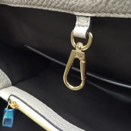 Replica Louis Vuitton Taupe Capucines MM