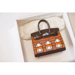 Replica Hermes Brown House Print Birkin 20 Bag