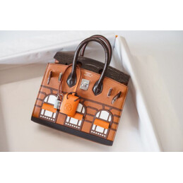 Replica Hermes Brown House Print Birkin 20 Bag