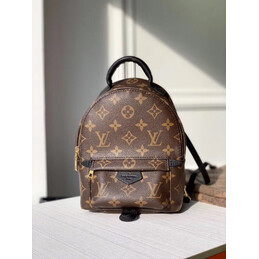 Replica Louis Vuitton Brown Monogram Palm Springs Backpack Mini