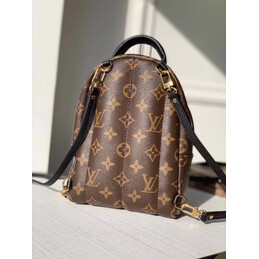 Replica Louis Vuitton Brown Monogram Palm Springs Backpack Mini