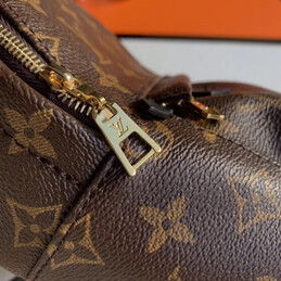 Replica Louis Vuitton Brown Monogram Palm Springs Backpack Mini