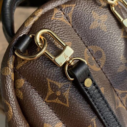 Replica Louis Vuitton Brown Monogram Palm Springs Backpack Mini