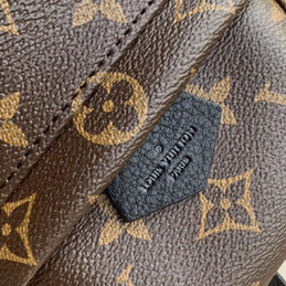 Replica Louis Vuitton Brown Monogram Palm Springs Backpack Mini