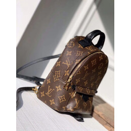 Replica Louis Vuitton Brown Monogram Palm Springs Backpack Mini