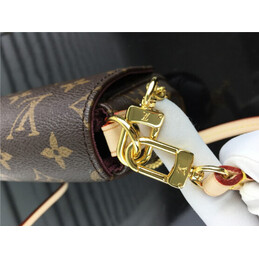 Replica Louis Vuitton Brown Monogram Chain Favorite MM
