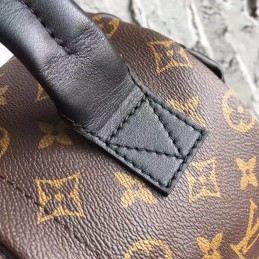 Replica Louis Vuitton Brown Monogram Black Trim Palm Springs Backpack PM