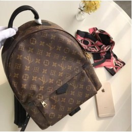 Replica Louis Vuitton Brown Monogram Palm Springs Backpack MM