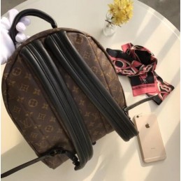 Replica Louis Vuitton Brown Monogram Palm Springs Backpack MM
