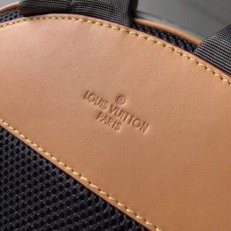 Replica Louis Vuitton Gray Monogram Titanium PM Backpack