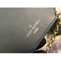 Replica Louis Vuitton Brown Monogram Micro Boite Chapeau