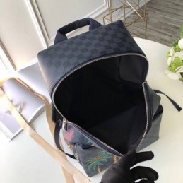 Replica Louis Vuitton Damier Graphite Palm Tree Apollo Backpack