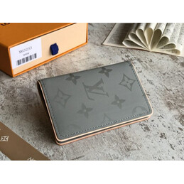 Replica Louis Vuitton Gray Monogram Shadow Pocket Organizer