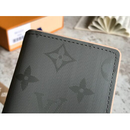 Replica Louis Vuitton Gray Monogram Shadow Pocket Organizer
