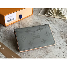 Replica Louis Vuitton Gray Monogram Shadow Pocket Organizer