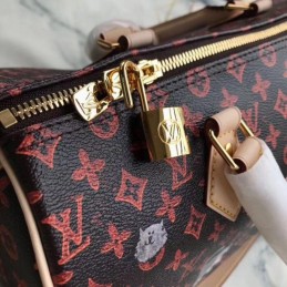 Replica Louis Vuitton Brown Monogram Red White Graphic Speedy 30