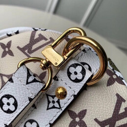 Replica Louis Vuitton White Gold Monogram Speedy 30