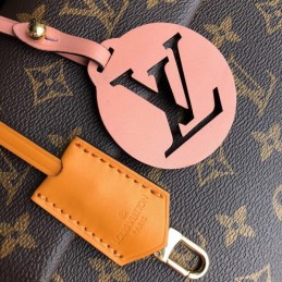 Replica Louis Vuitton Brown Monogram Chain Handle Cluny BB