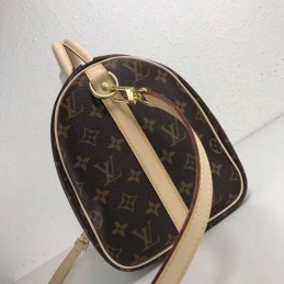 Replica Louis Vuitton Brown Monogram Multicolor Interior Speedy 30