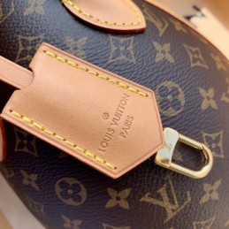 Replica Louis Vuitton Brown Monogram LV Egg Souple PM