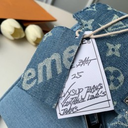 Replica Louis Vuitton Light Blue Humble Travel Bag Kelly