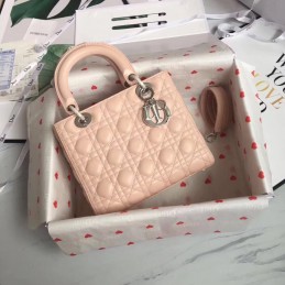 Replica Christian Dior Lady...