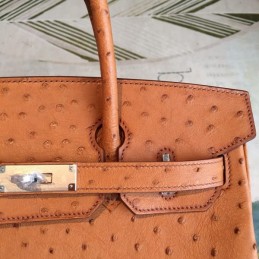 Replica Hermes Orange Ostrich Leather Birkin 30 Bag