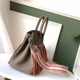 Replica Hermes Taupe Rainbow Stripe Birkin 30 Bag