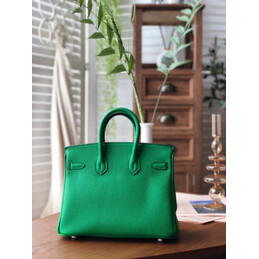 Replica Hermes Green Birkin 25 Palladium Hardware Bag