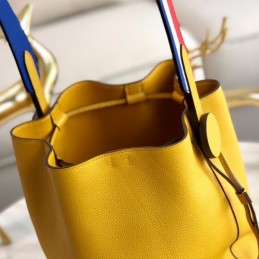 Replica Hermes Yellow Licol 17 Bag
